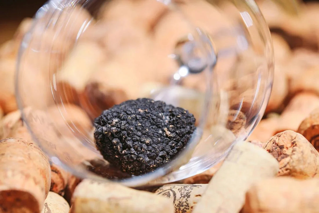 Abbinamenti gourmet: Tartufi del Garda e Vini locali