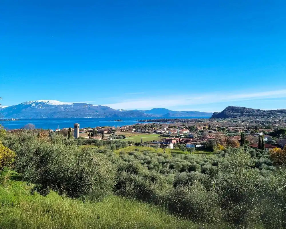 Il Tartufo del Lago di Garda: storie e tradizioni del 900