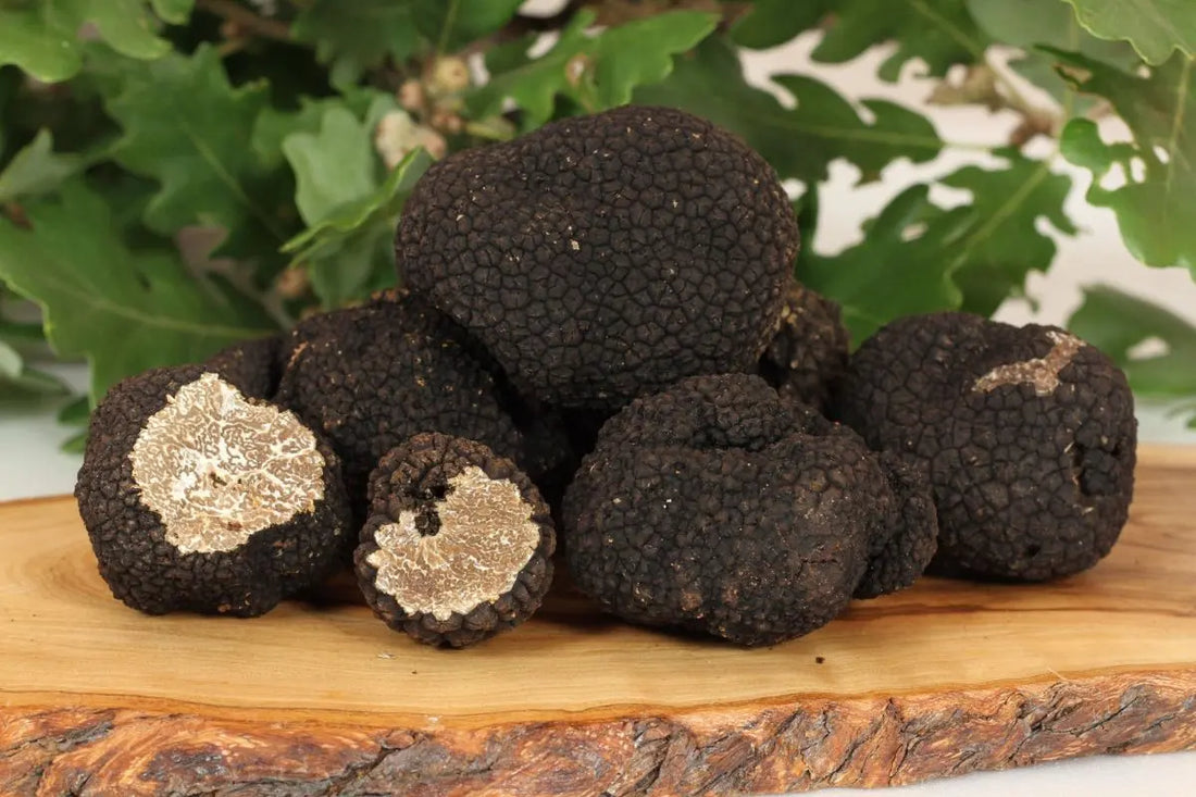 Che cos’è il Tartufo estivo e perché sempre più persone lo consumano