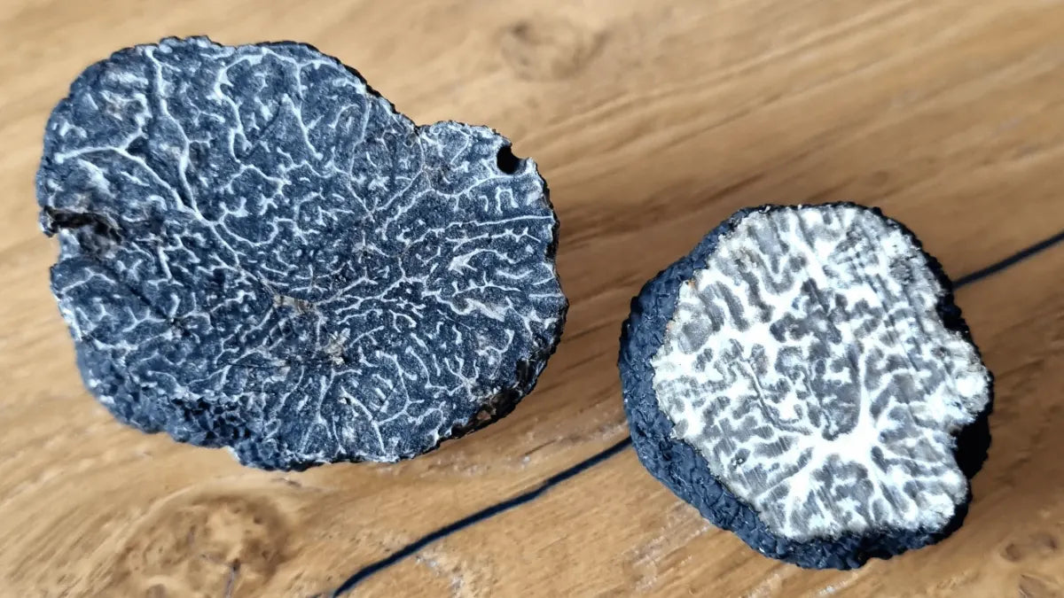 Come distinguere il Tartufo Nero Pregiato
