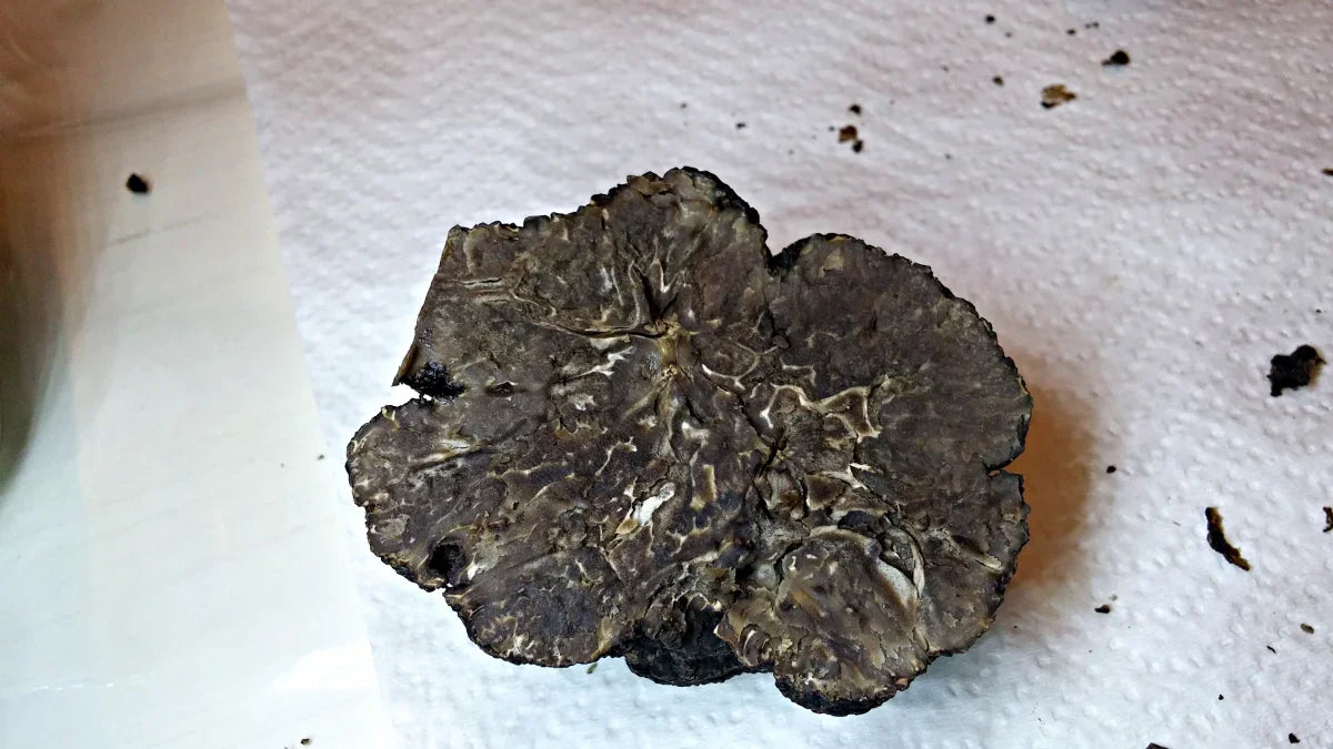 Come riconoscere un tartufo andato a male