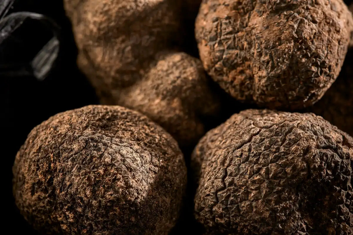 Come viene chiamato il migliore tartufo nero?