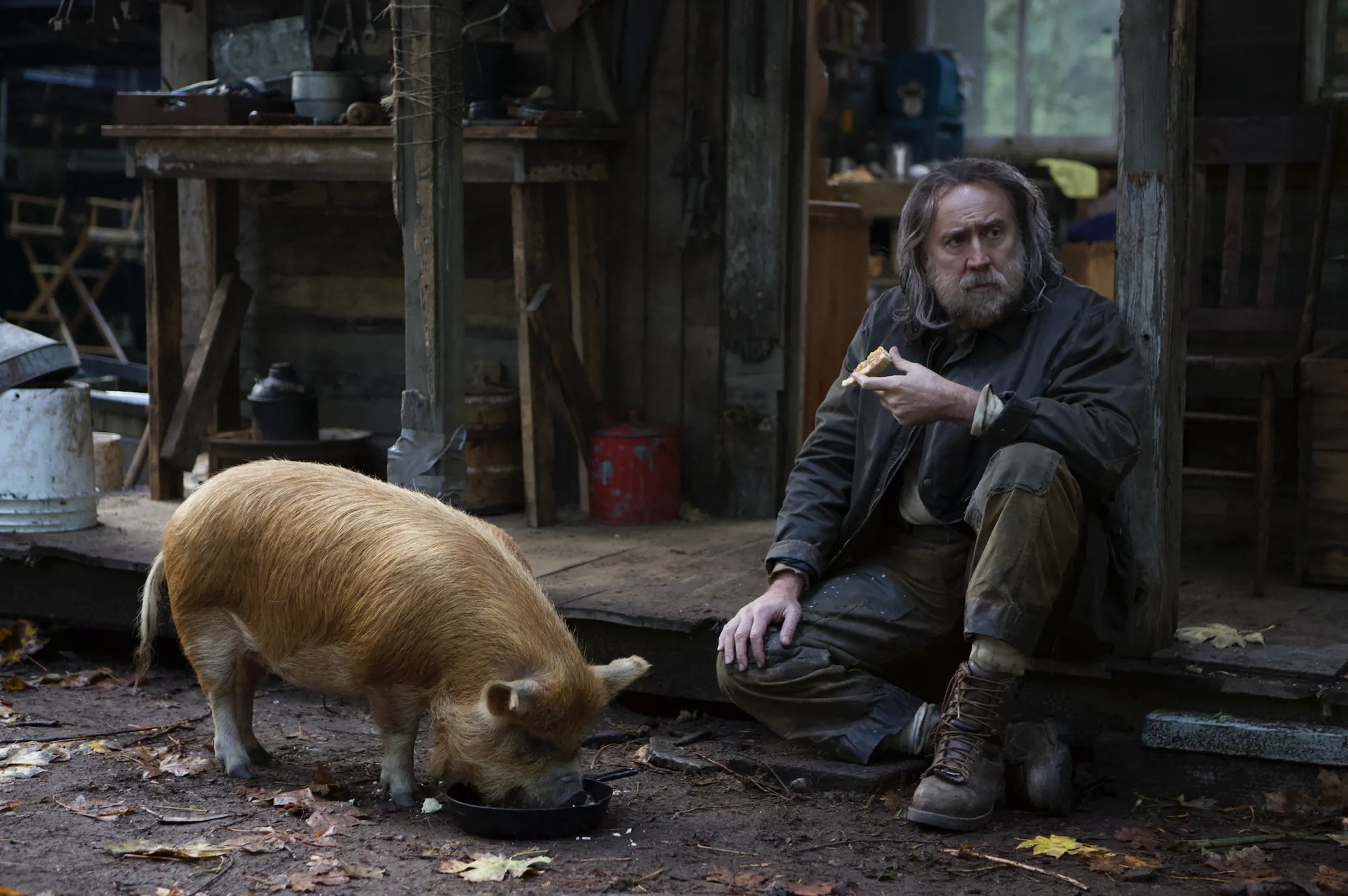 Il tartufo nel cinema: un'esperienza cinematografica da gustare con Pig, il film con Nicolas Cage