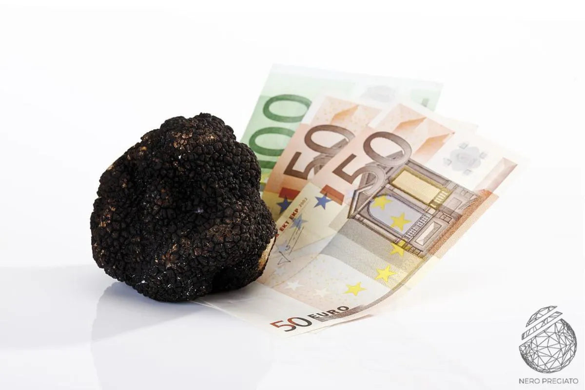 Prezzo tartufi: scopri il motivo di questa delizia esclusiva