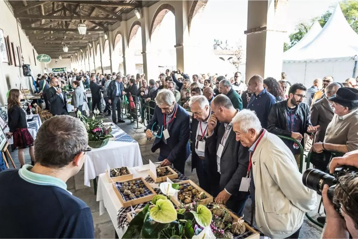 Mercato del tartufo: un mondo sotterraneo di eccellenza, tradizione e sostenibilità