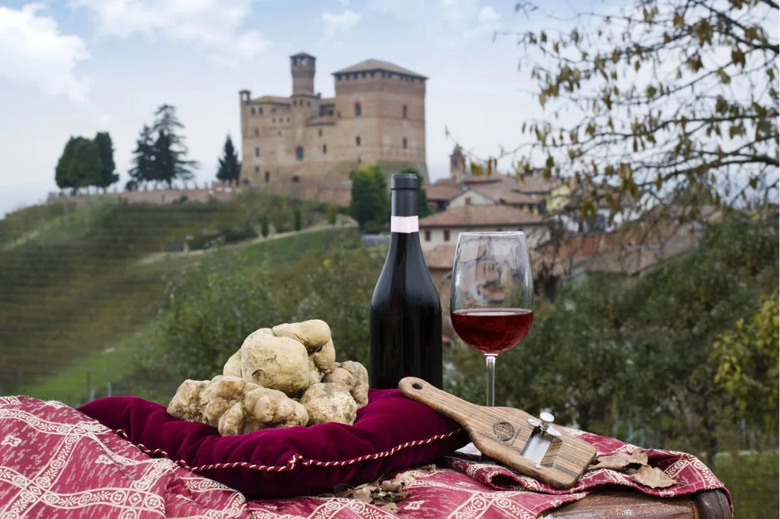 Perché il Tartufo bianco di Alba vale il doppio, è il profumo del marketing?