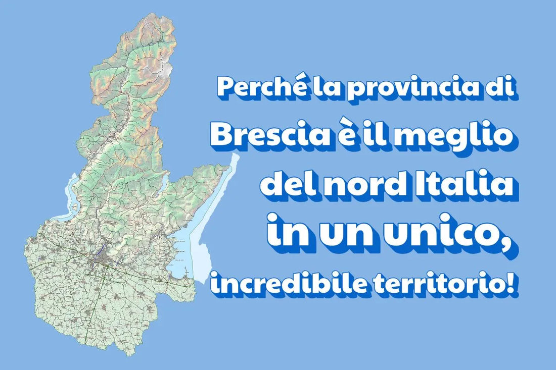Tartufo provincia di Brescia: l’oro nobile del nord Italia
