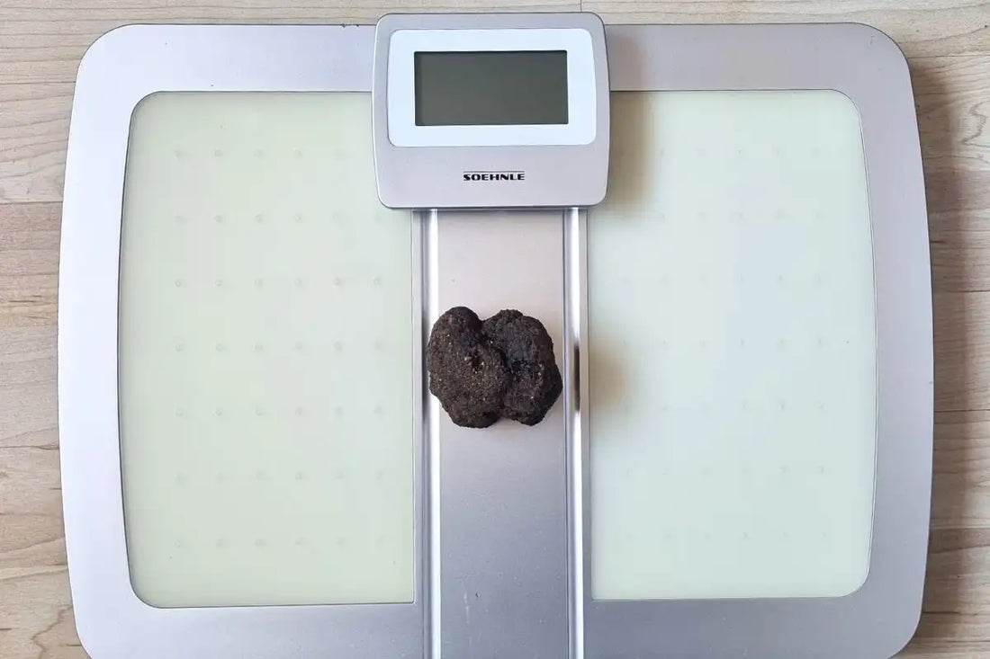 Quante calorie ha il Tartufo nero pregiato e il bianco pregiato?