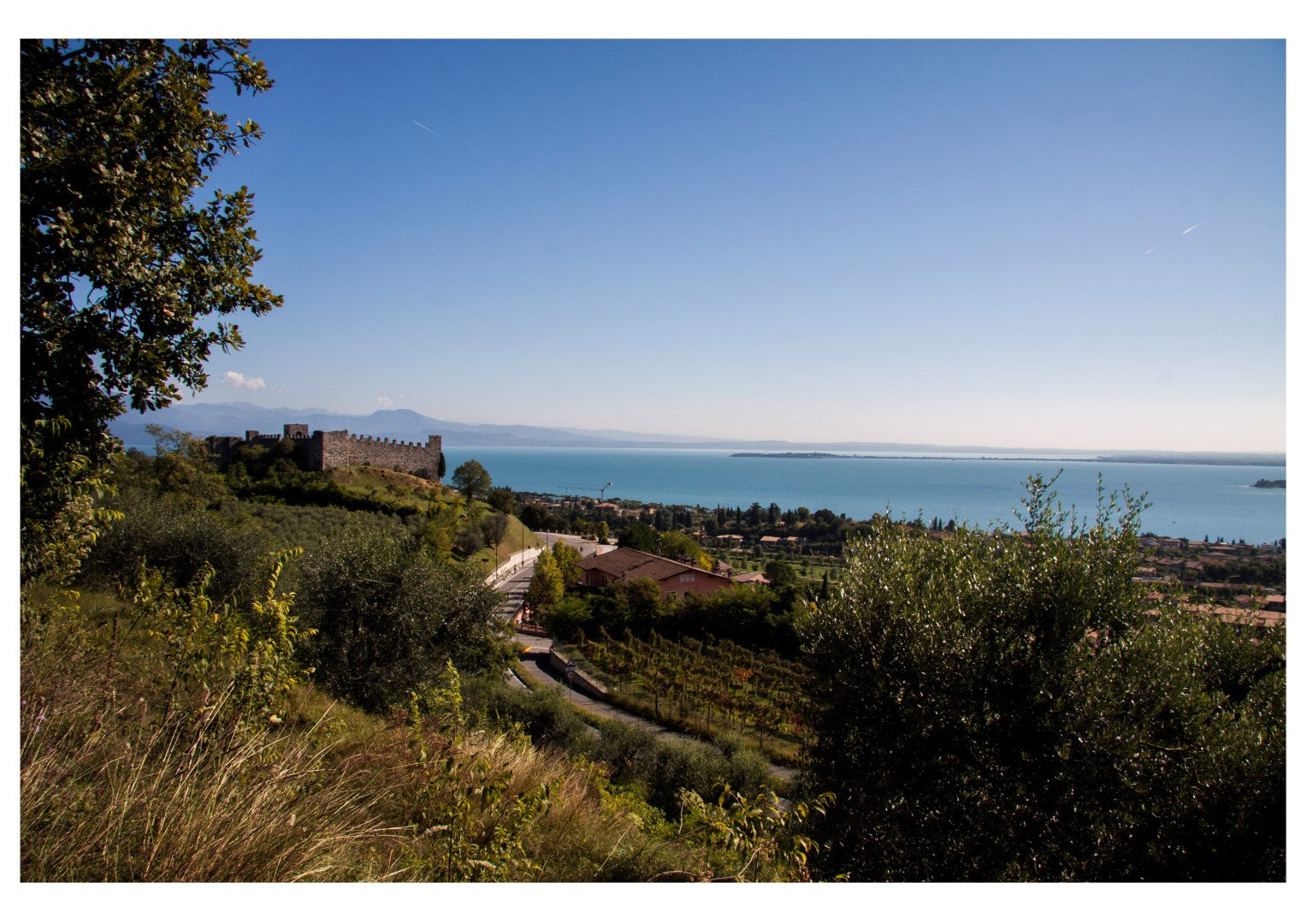 Tartufo del Lago di Garda