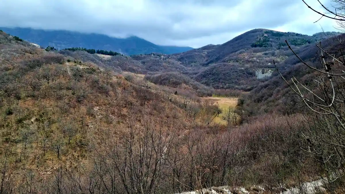 Tartufi e cultura locale: come il Tartufo Nero contribuisce alle comunità rurali