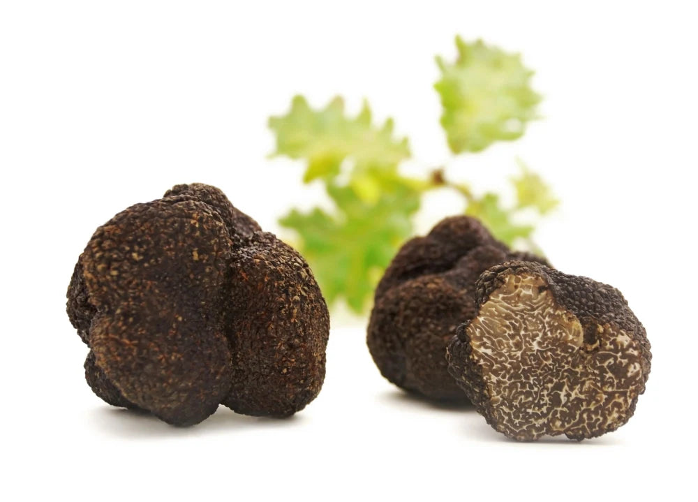 Che cos'è il Tartufo