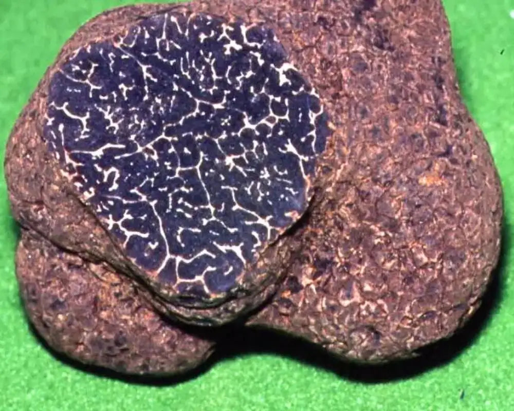 Falso Tartufo Nero Pregiato