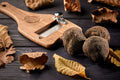 SCOPRI I SEGRETI DEL TARTUFO: SEMINARIO SUL TARTUFO