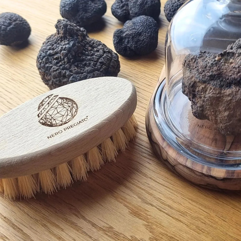 Spazzolino per Tartufo con setole in Tampico naturale