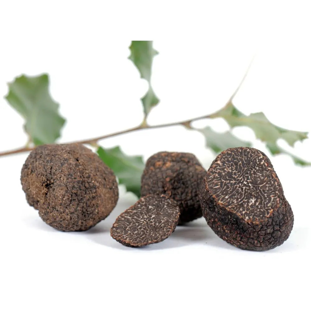Tartufo Nero Pregiato PRIMA SCELTA