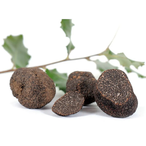 Tartufo Nero Pregiato PRIMA SCELTA