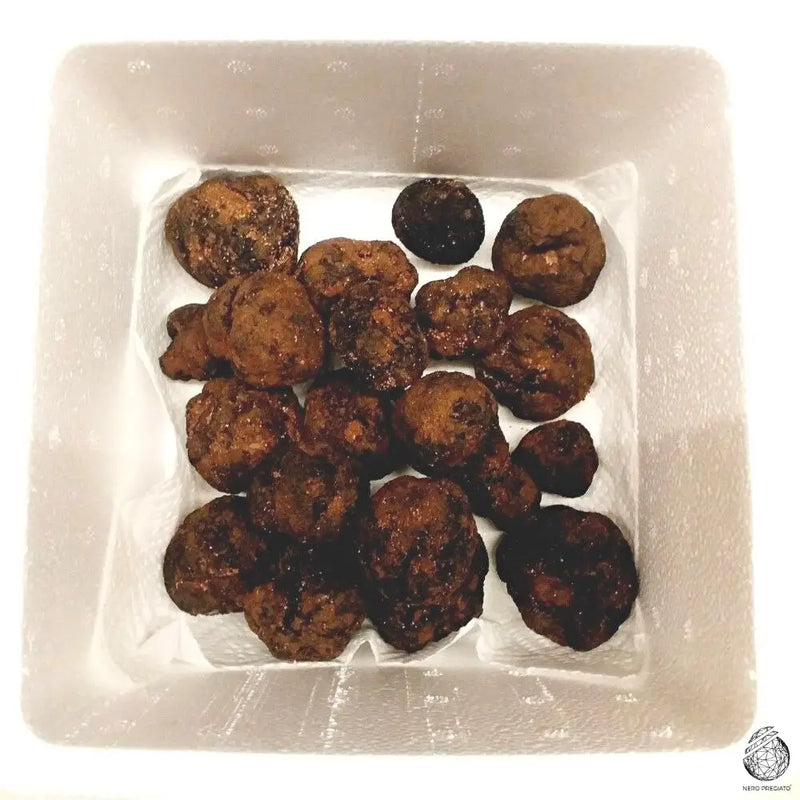Tartufo Nero Pregiato PRIMA SCELTA