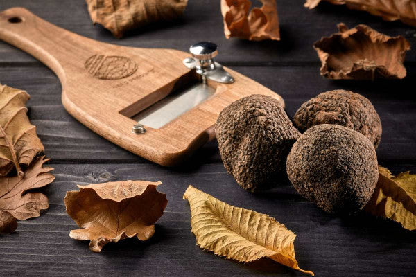 Tasting: discover the secrets of truffles
