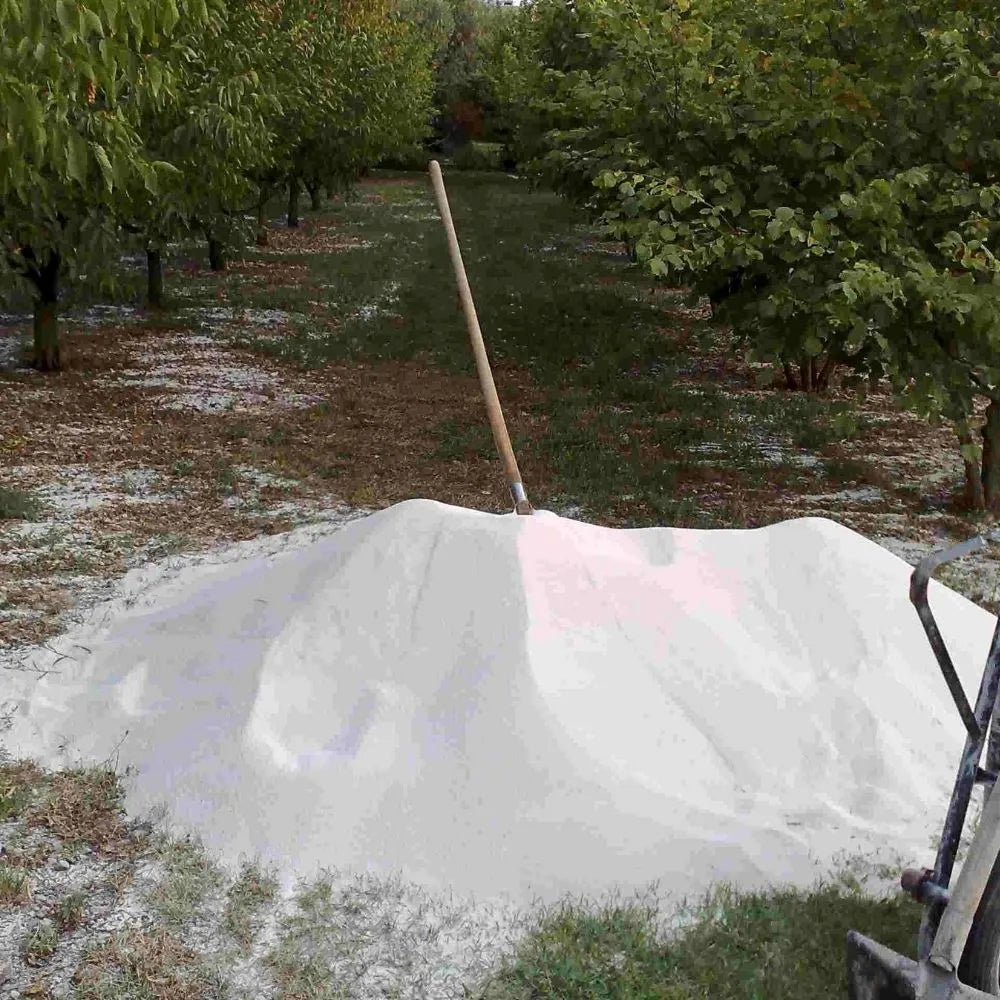 AFFASCINANTE MONDO DEL TARTUFO NERO PREGIATO