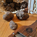 AFFASCINANTE MONDO DEL TARTUFO NERO PREGIATO