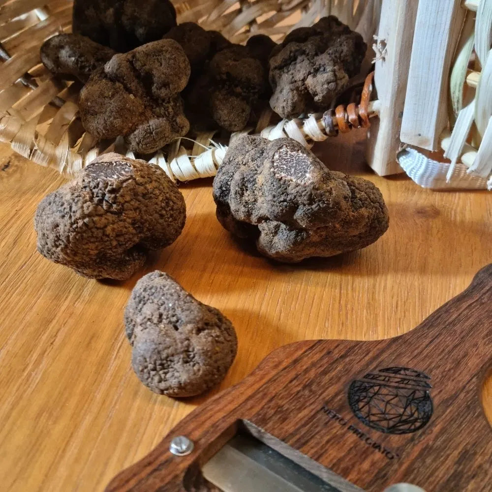 AFFASCINANTE MONDO DEL TARTUFO NERO PREGIATO