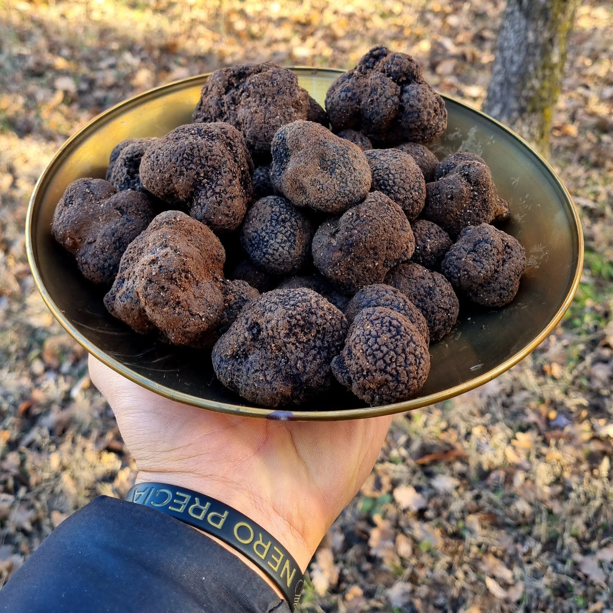 Tartufo Nero Pregiato di alta qualità e pezzatura eccellente, raccolto dopo il naturale processo di maturazione e spore in tartufaia controllata.