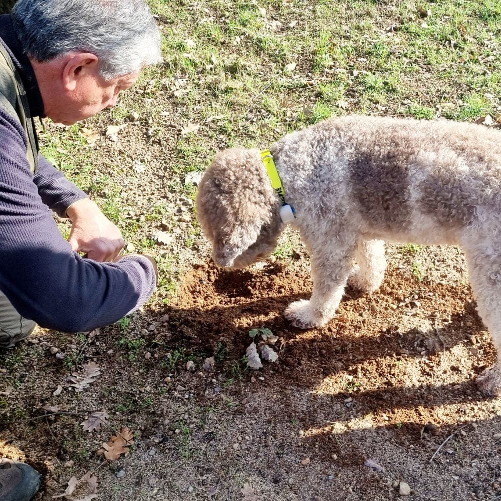 SCOPRI I SEGRETI DEL TARTUFO: SEMINARIO SUL TARTUFO