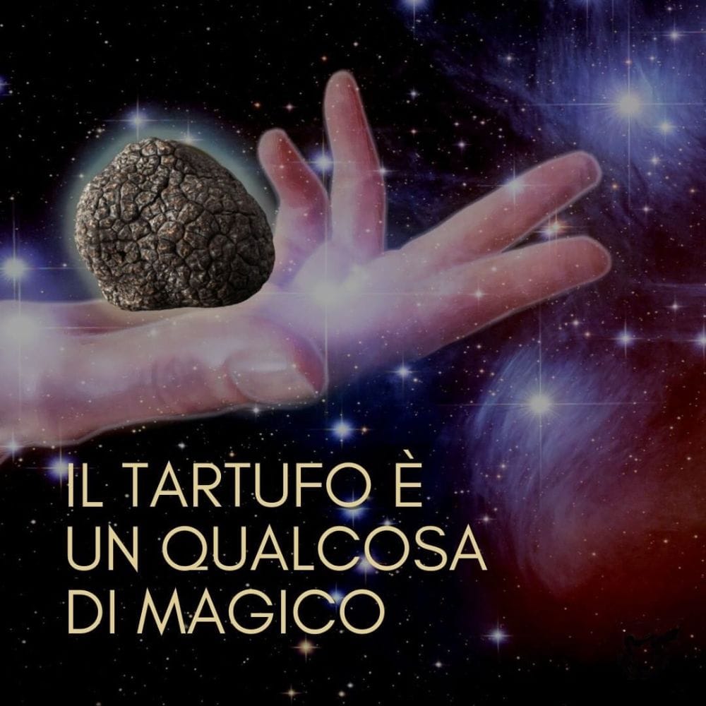 SCOPRI I SEGRETI DEL TARTUFO: SEMINARIO SUL TARTUFO