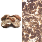 SCOPRI I SEGRETI DEL TARTUFO: SEMINARIO SUL TARTUFO