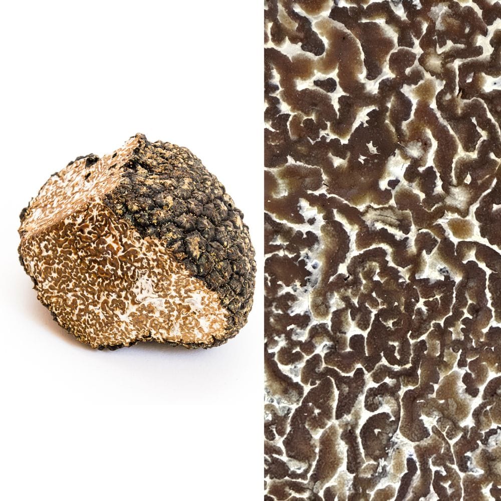 SCOPRI I SEGRETI DEL TARTUFO: SEMINARIO SUL TARTUFO