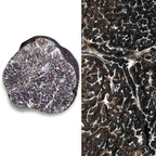 SCOPRI I SEGRETI DEL TARTUFO: SEMINARIO SUL TARTUFO