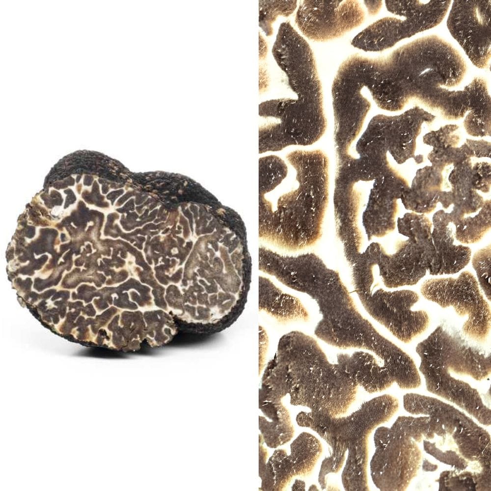 SCOPRI I SEGRETI DEL TARTUFO: SEMINARIO SUL TARTUFO