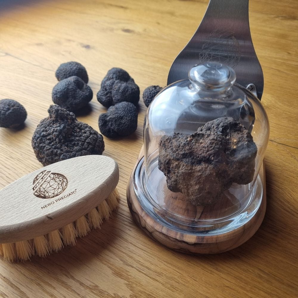 SCOPRI I SEGRETI DEL TARTUFO: SEMINARIO SUL TARTUFO
