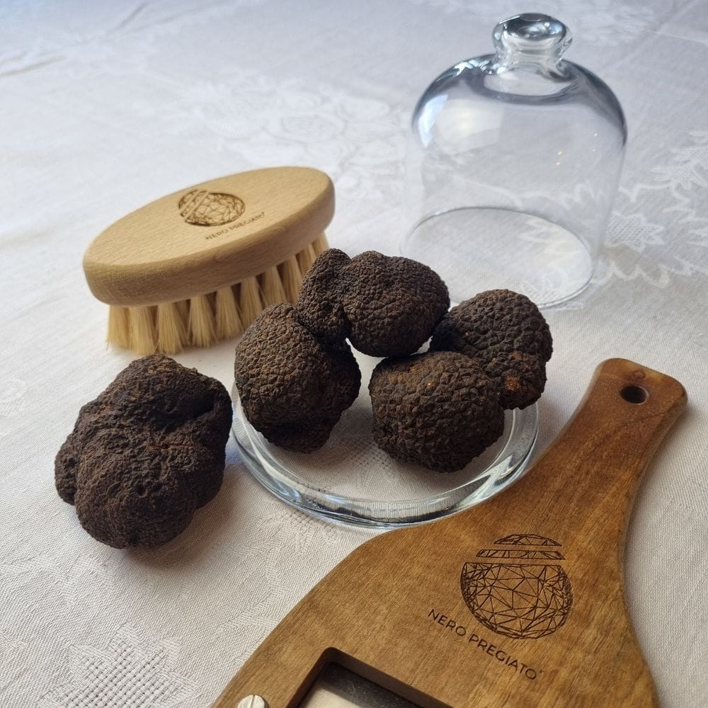 SCOPRI I SEGRETI DEL TARTUFO: SEMINARIO SUL TARTUFO