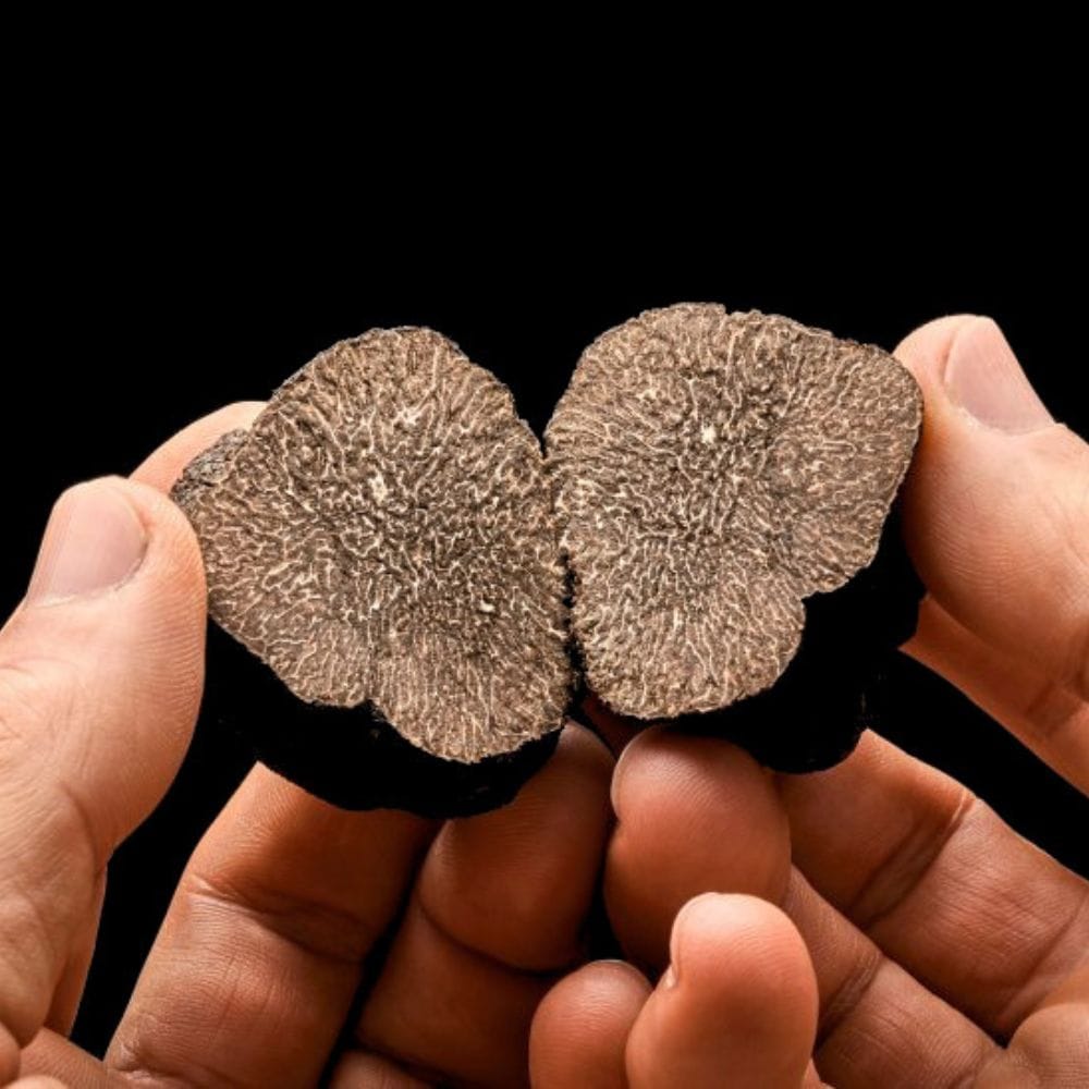 SCOPRI I SEGRETI DEL TARTUFO: SEMINARIO SUL TARTUFO