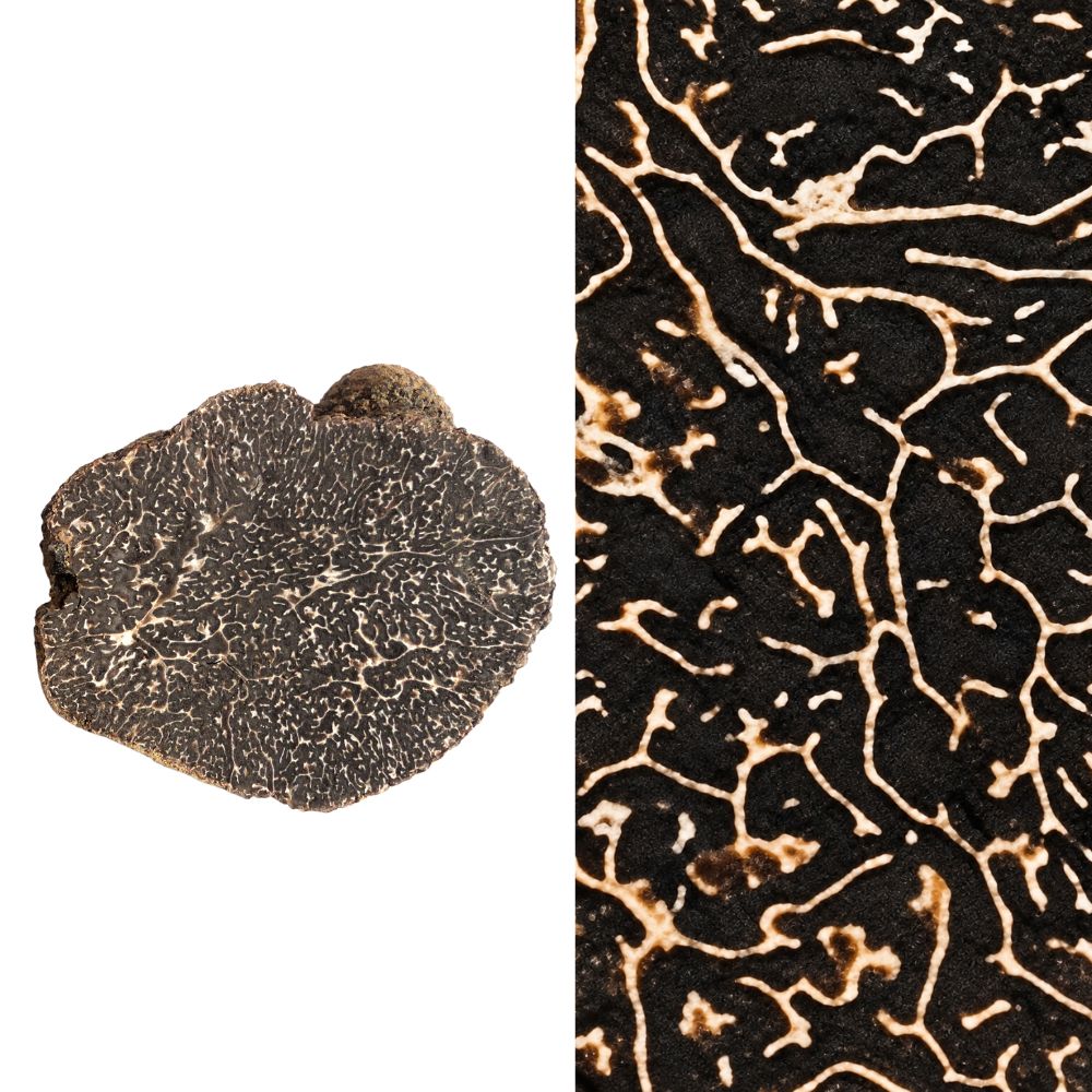 SCOPRI I SEGRETI DEL TARTUFO: SEMINARIO SUL TARTUFO