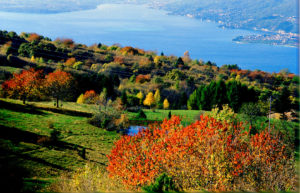 Autunnale Lago di Garda Tartufo Nero Pregiato