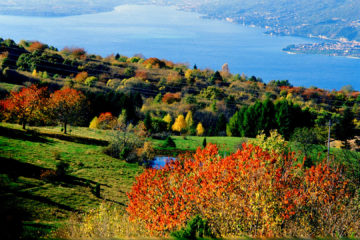 Autunnale Lago di Garda Tartufo Nero Pregiato