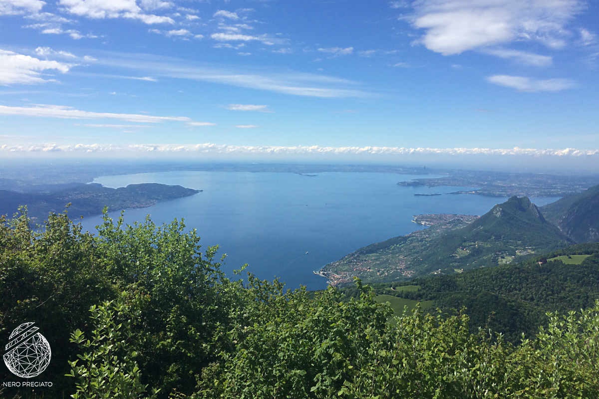 Nell’anno dei Tartufi spicca il Nero Pregiato del Garda