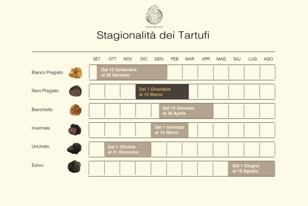 stagionalità dei tartufi