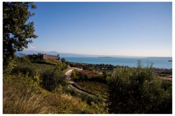 Tartufo del Lago di Garda raccolto in un'area tartufigena delle colline moreniche, noto per la sua qualità pregiata e il profumo intenso