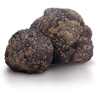 Tartufo Nero Estivo