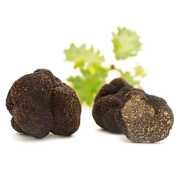 Tartufo Nero Pregiato fresco, ideale per primi piatti, carne, pesce e dolci.