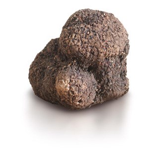 Tartufo Nero Pregiato