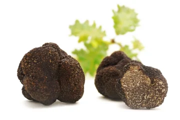 Tartufo bianco e nero, due delle specie più pregiate per la cucina gourmet
