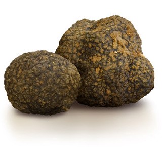 Tartufo Nero Uncinato