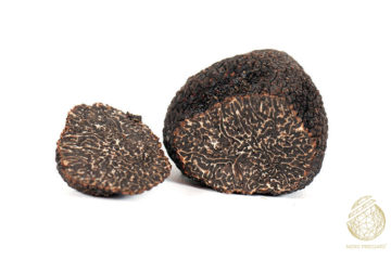 immagine Tartufo Nero Pregiato logo 1 1