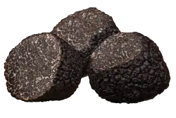 PEZZI PICCOLI E SPEZZETTATI Tartufo Nero Pregiato