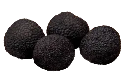 SELEZIONE SUPER EXTRA Tartufo Nero Pregiato