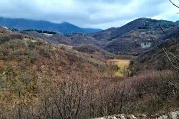 Tartufi e cultura locale Come il Tartufo Nero contribuisce alle comunita rurali